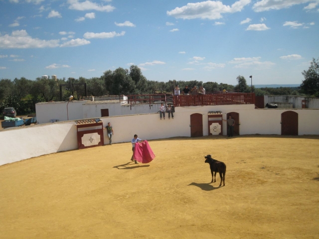 Retando en solitario