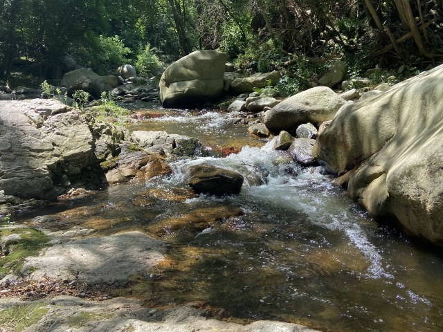 Descenso por la Riera de Osor  