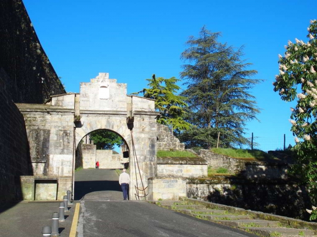 Portal de Francia e mura 