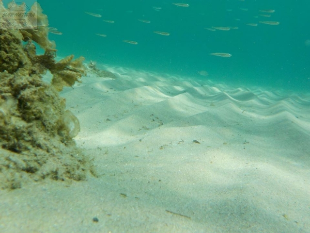 Disfruta las aguas cristalinas de la costa de Tarragona
