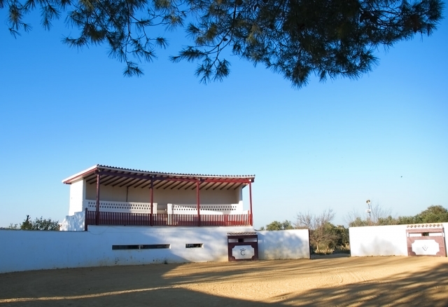  Arènes 