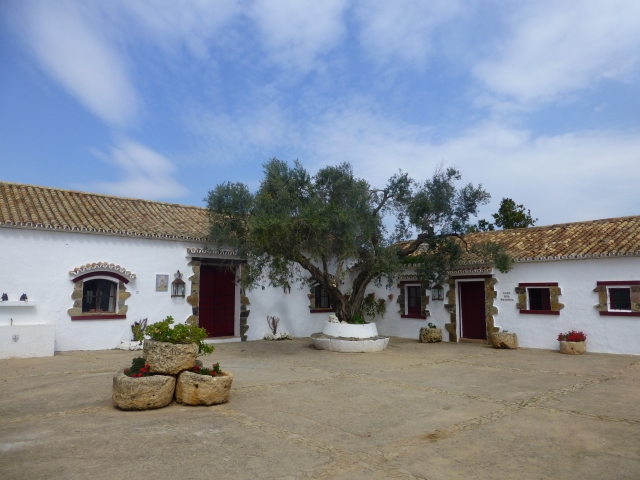  Patio de la ferme 