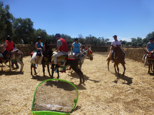  Polo avec âne 