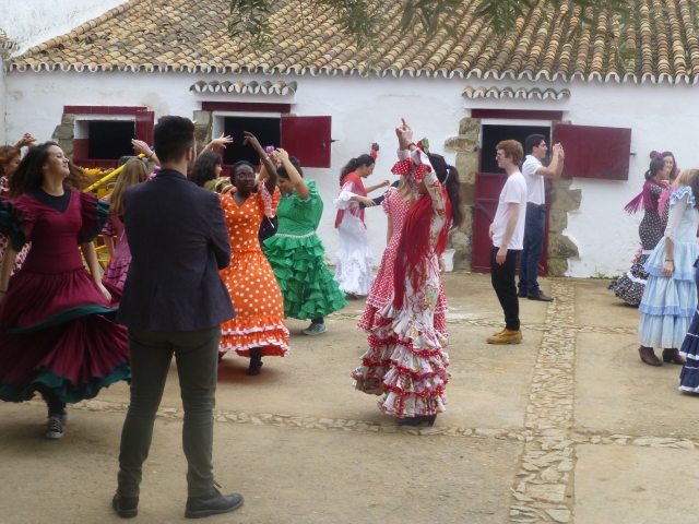  Atelier de danse 