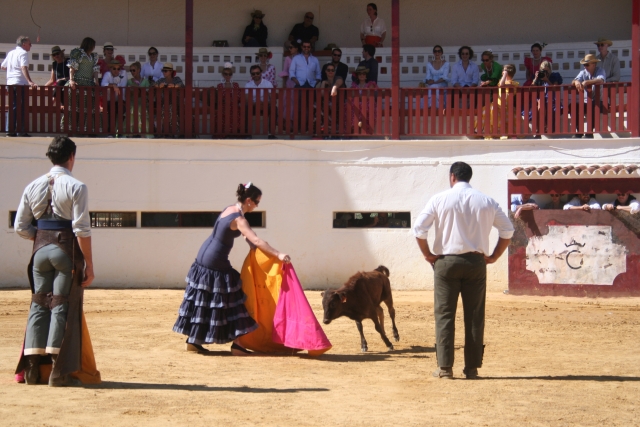  Corrida avec art 