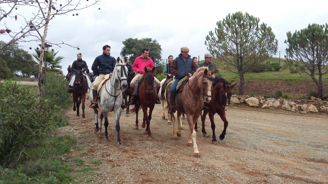  Marcher vers cheval pour le ranch 