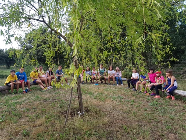 Campistas reunidos en la naturaleza