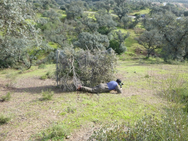  Circuit de paintball avec obstacles naturels 