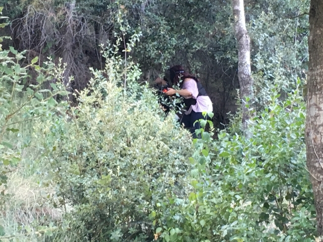 Paintball en entorno natural