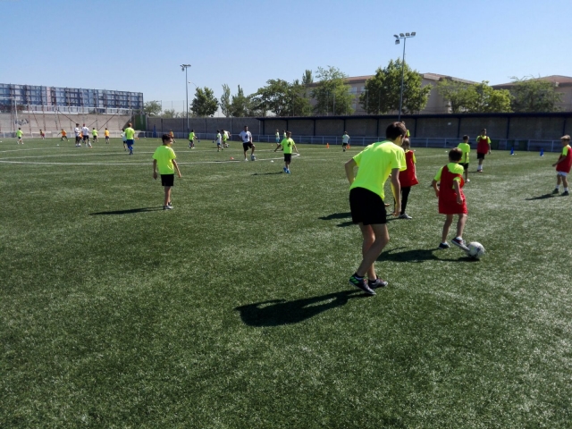  Training durch qualifizierte professionelle Trainer