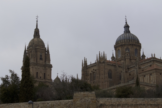  Visita guidata della Cattedrale di Salamanca