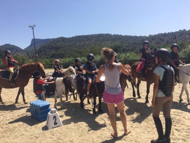  Ponys mit Lehrern 
