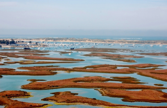 Marismas Cádiz
