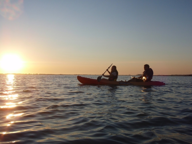 Navegando en kayak por marismas
