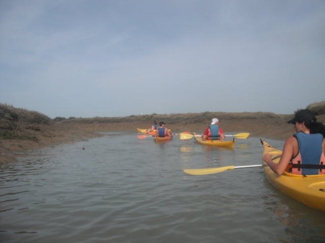 Paseo por las marismas de Cadiz en kayaks