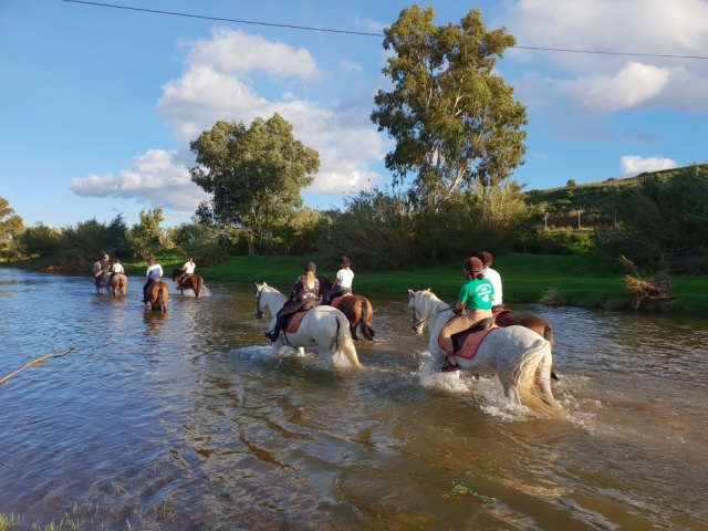  Dans la rivière Fuengirola 
