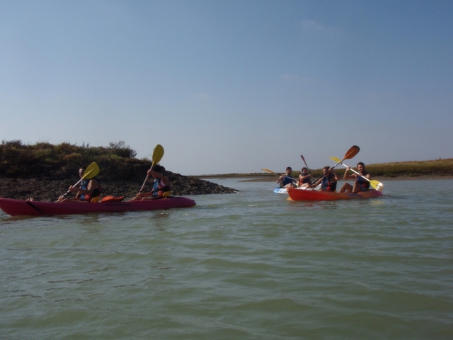  Escursione in kayak attraverso le paludi Cadice 