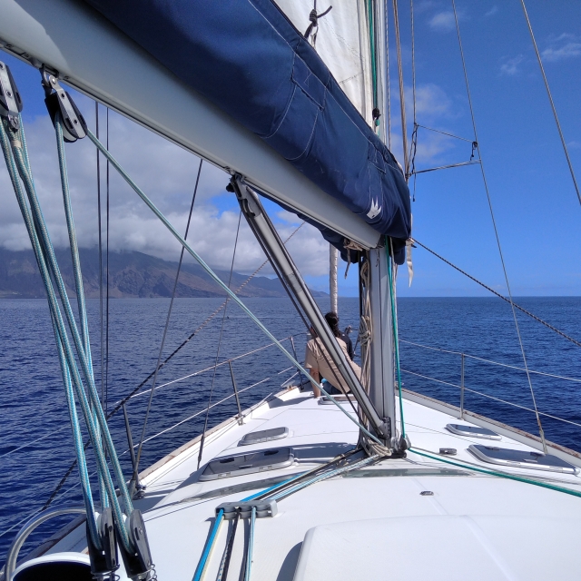 Velero