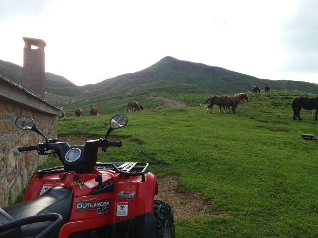 Excursión en quad durante 1 hora