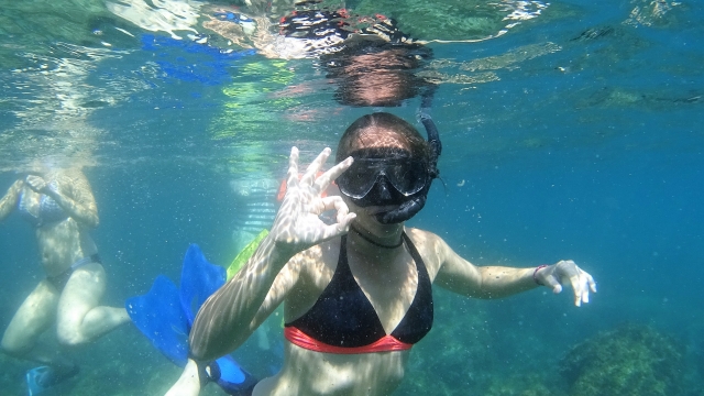  Snorkeling à Grenade 