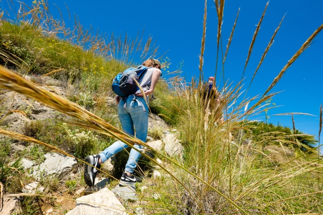  Itinéraire sur des sentiers de montagne 