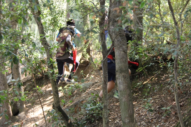  Parmi les mauvaises herbes du paintball Barcelone 