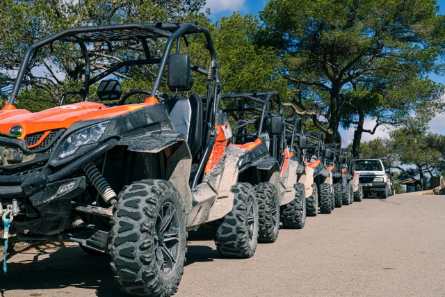  乘坐越野车了解马略卡 