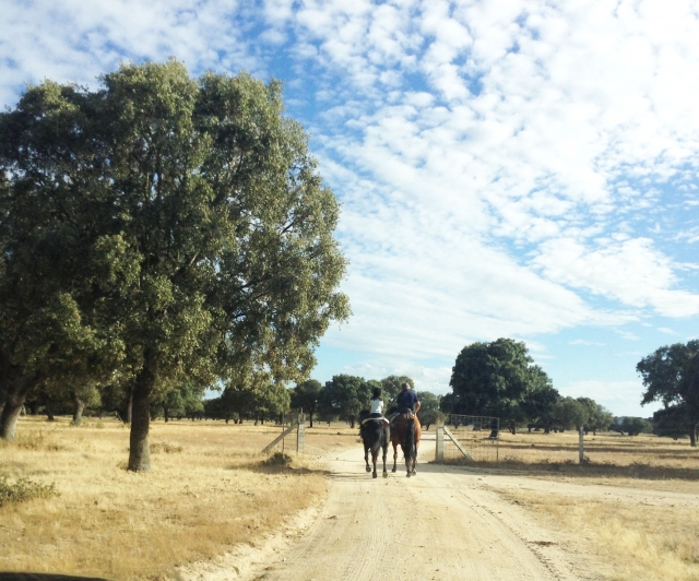 Dos jinetes montados a sus caballos