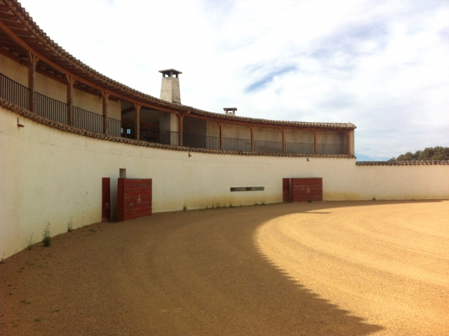 Plaza de tientas