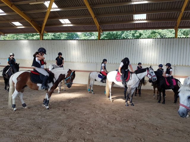 Atelier d'initiation à l'équitation 