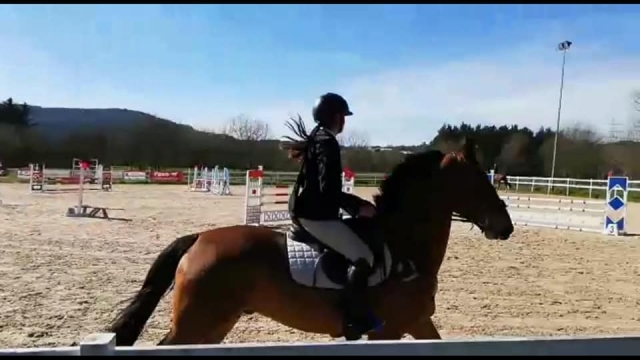  Initiation à l'équitation 