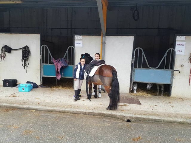 Cuadras para ponis Irueta