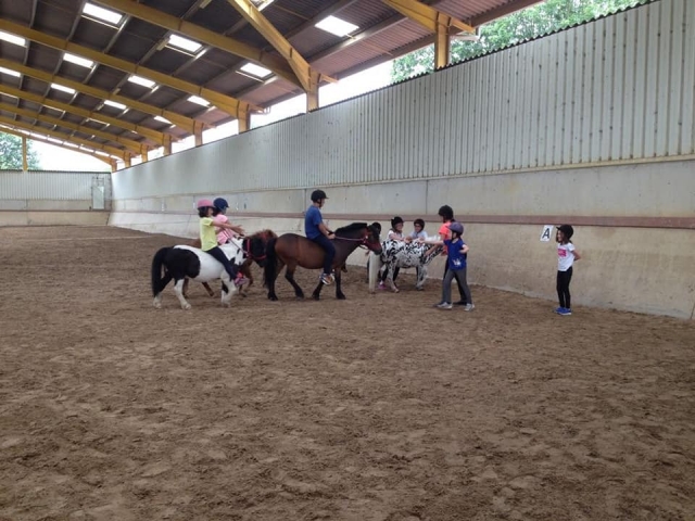 Niños jugando con poni
