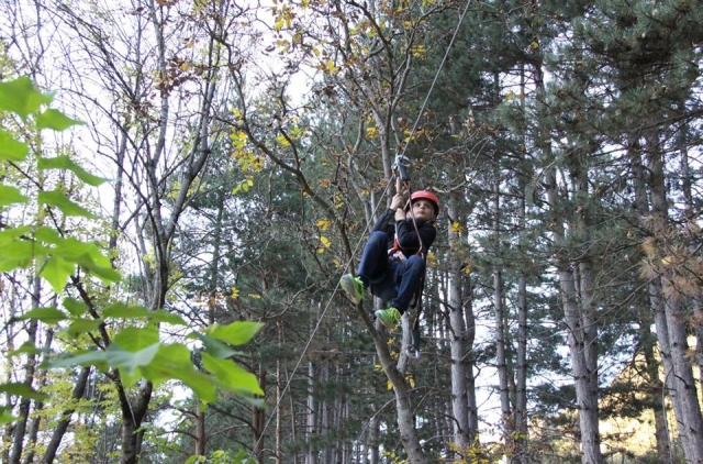  The zip line 
