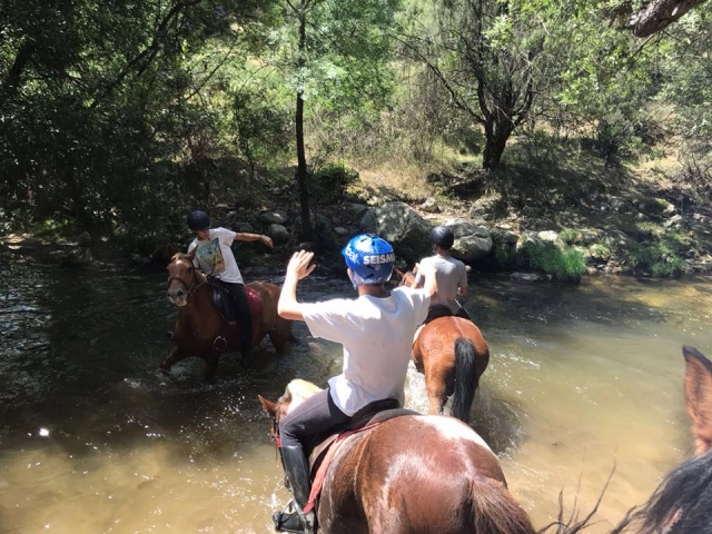  In Manzanares with the horses 