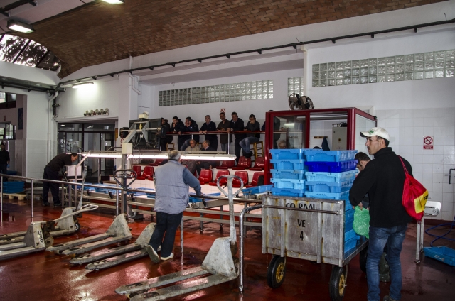  Visita all'asta del pesce 