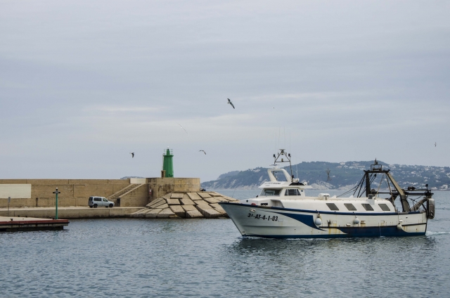 p-61584-verge-loreto_15561892429547.jpg