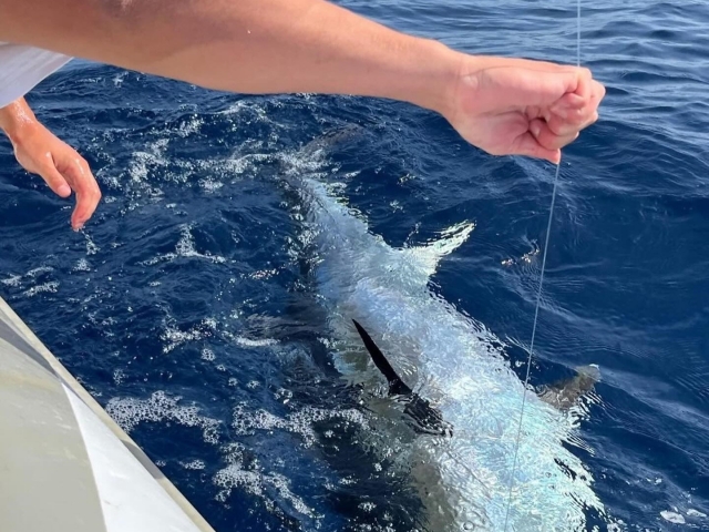 Pescador sujetando red de pesca