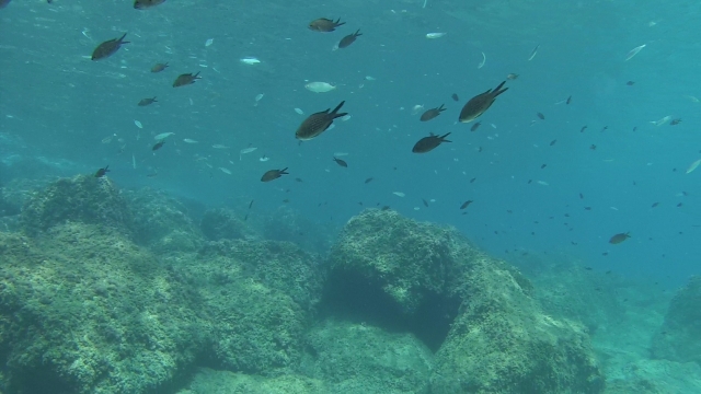  Costa Dorada seabed 