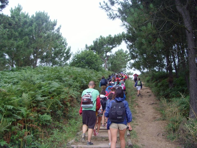 De excursión al campo