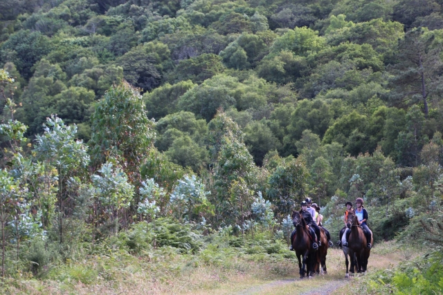 Passeggiata a cavallo con la famiglia Ortigueira 