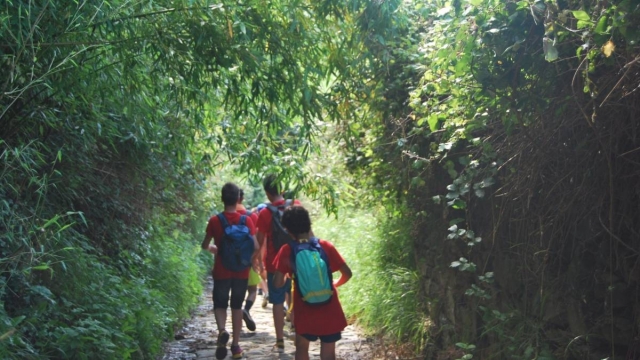  Excursions d'été pour enfants 