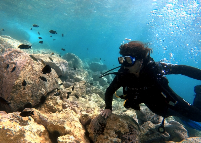  Les meilleures plongées sur les côtes des îles Canaries 