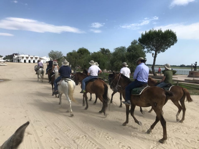 Clases de equitación grupales