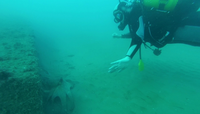 Bautismo de buceo en Torredembarra