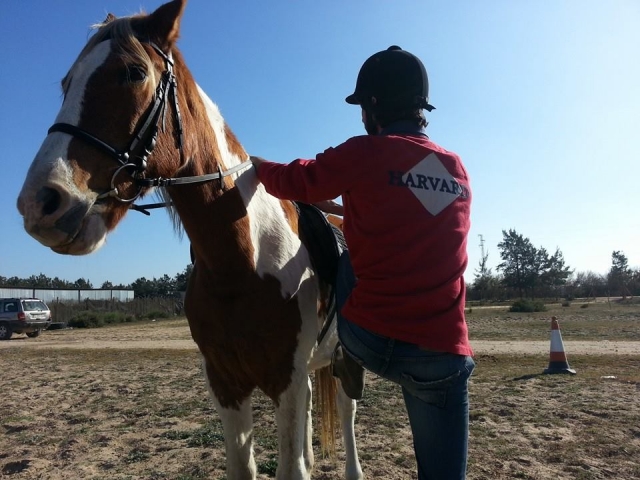Subiendo al caballo