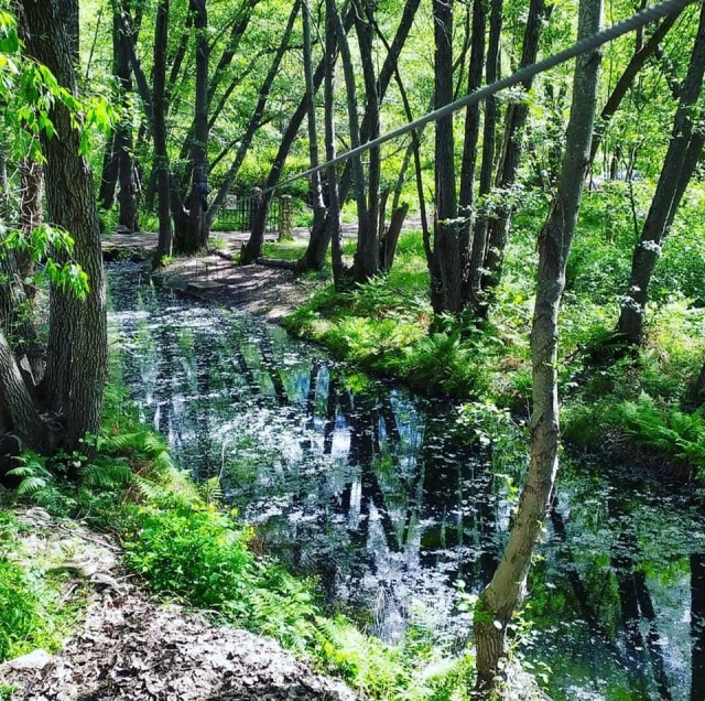 Río Jerte en Cáceres