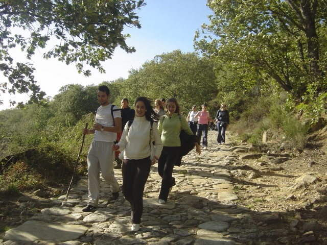 Excursiones a la montaña