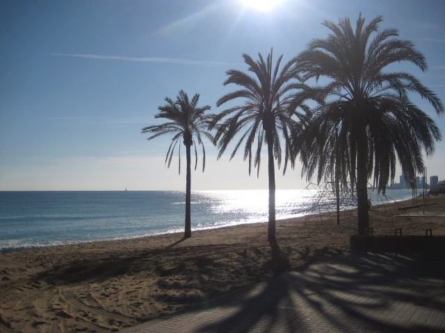  Geburtstagskajak oder Big SUP Badalona