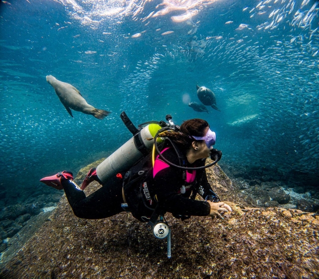 Disfruta del fondo marino de la Costa Brava